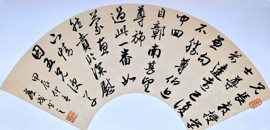 鷨