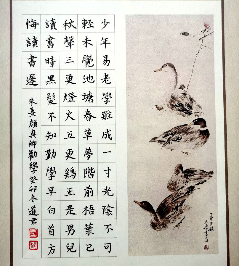 Ӳ鷨Ʒ